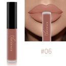 NICEFACE Waterproof Long Lasting Matte Liquid Lipstick