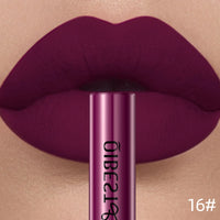 Waterproof Velvet Matte Liquid Lipstick