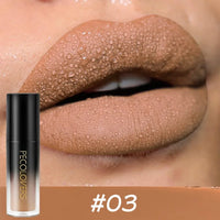 14-Color Waterproof Matte Long-lasting Lip Gloss Lipstick