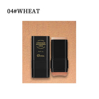 2-in-1 Matte Foundation and Concealer Stick
