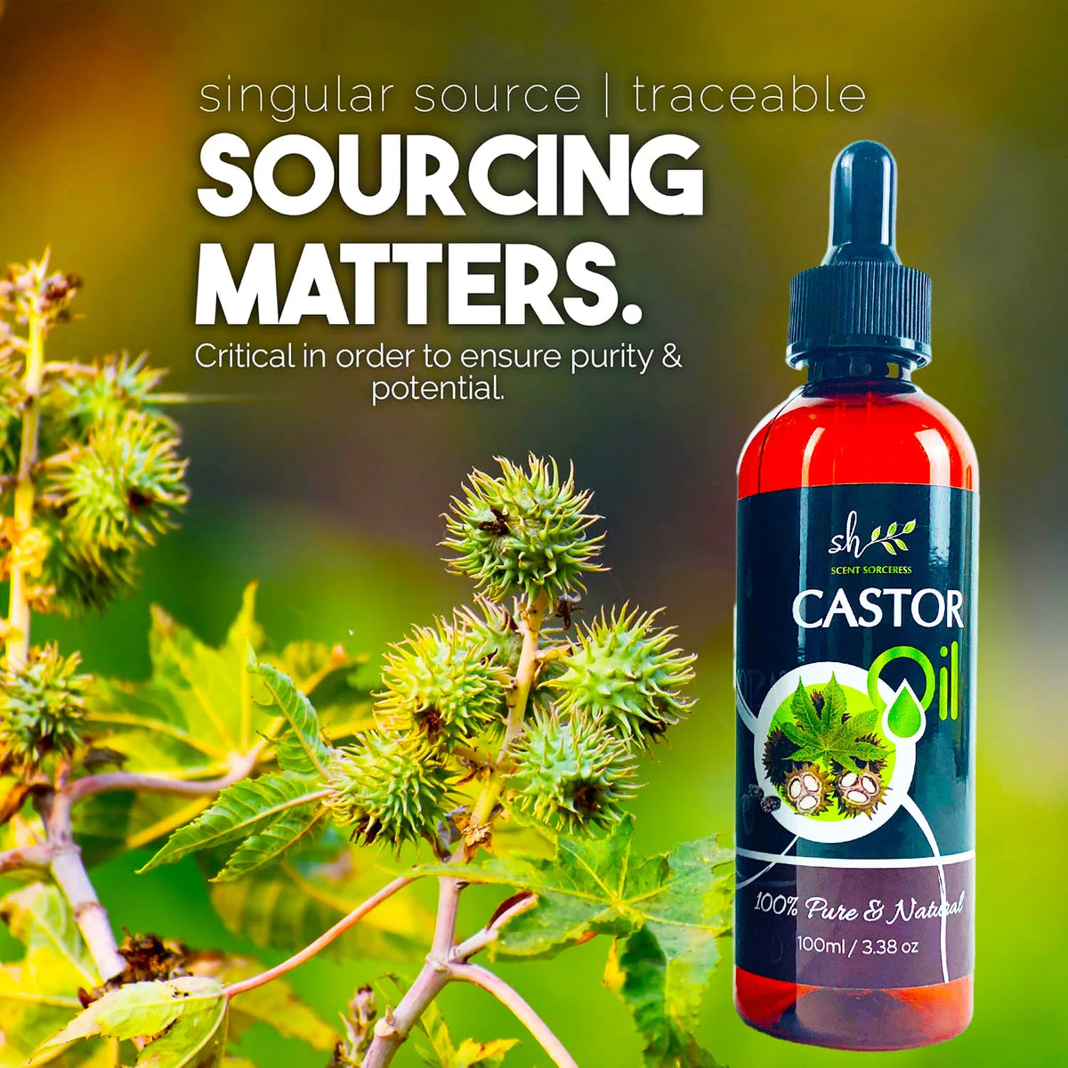 100ml Pure Castor Massage Oil for Hair and Skin Repair