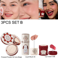 Strawberry Cupid Velvet Matte Lip Cream and Pressed Powder Liquid Blush Set