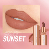 Matte Velvet Long Lasting Waterproof Lip Tint - 8 Colors