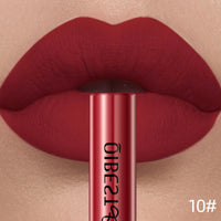 Waterproof Velvet Matte Liquid Lipstick