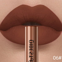 Waterproof Velvet Matte Liquid Lipstick