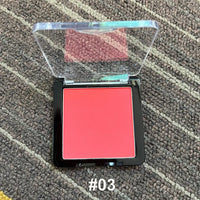 10pcs Pink Matte Pressed Powder Blush Palette Wholesale Bulk