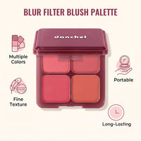 Blush and Highlighter Palette - 4 Shades