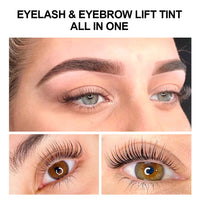 2-in-1 Professional Lash and Brow Lifting Tint Kit