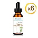 Amococo Cyperus Rotundus Oil Soothing Post-Hair Removal Serum (30ml)