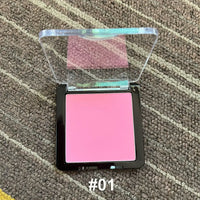 10pcs Pink Matte Pressed Powder Blush Palette Wholesale Bulk
