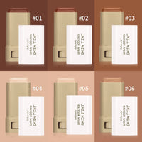 Moisturizing Skin Tint Foundation and Concealer Stick