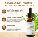 Amococo Cyperus Rotundus Oil Soothing Post-Hair Removal Serum (30ml)
