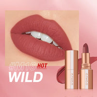 Matte Velvet Long Lasting Waterproof Lip Tint - 8 Colors