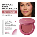Long-lasting Lightweight Velvety Matte Bouncy Blush