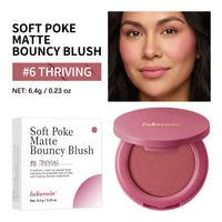 Long-lasting Lightweight Velvety Matte Bouncy Blush
