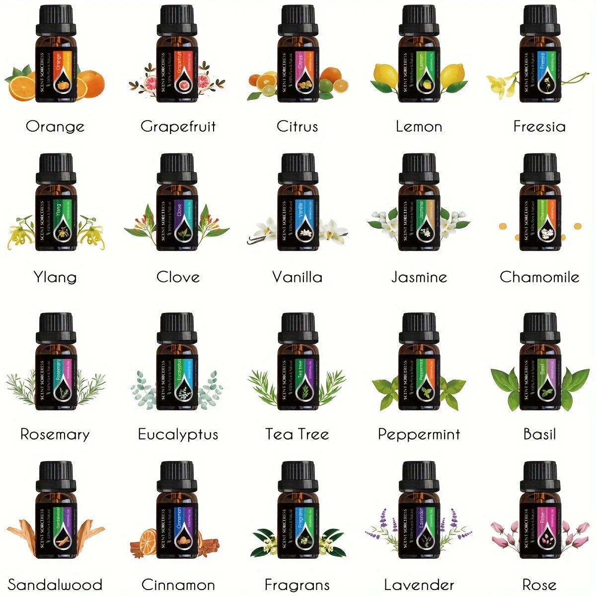 20-Piece Classic Essential Oil Set for Spa and Massage
