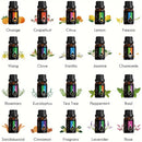 20-Piece Classic Essential Oil Set for Spa and Massage