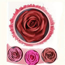 3D Rose Petal Floral Blush and Natural Highlighter